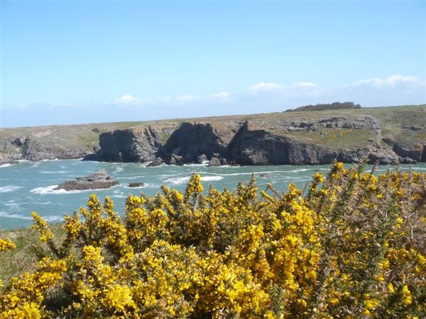 Sur les pas de Claude Monet à Belle - ile - en - mer